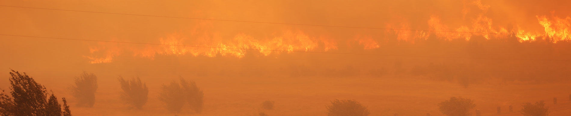 https://bebeboxer.store/SiteCollectionImage-Homepage-Banners/wildfires-banner.jpg
