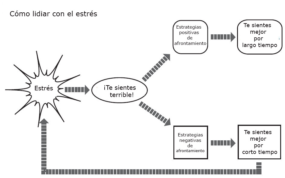 https://bebeboxer.store/SiteCollectionImagesArticleImages/BR_Dealing_With_Stress_es.jpg